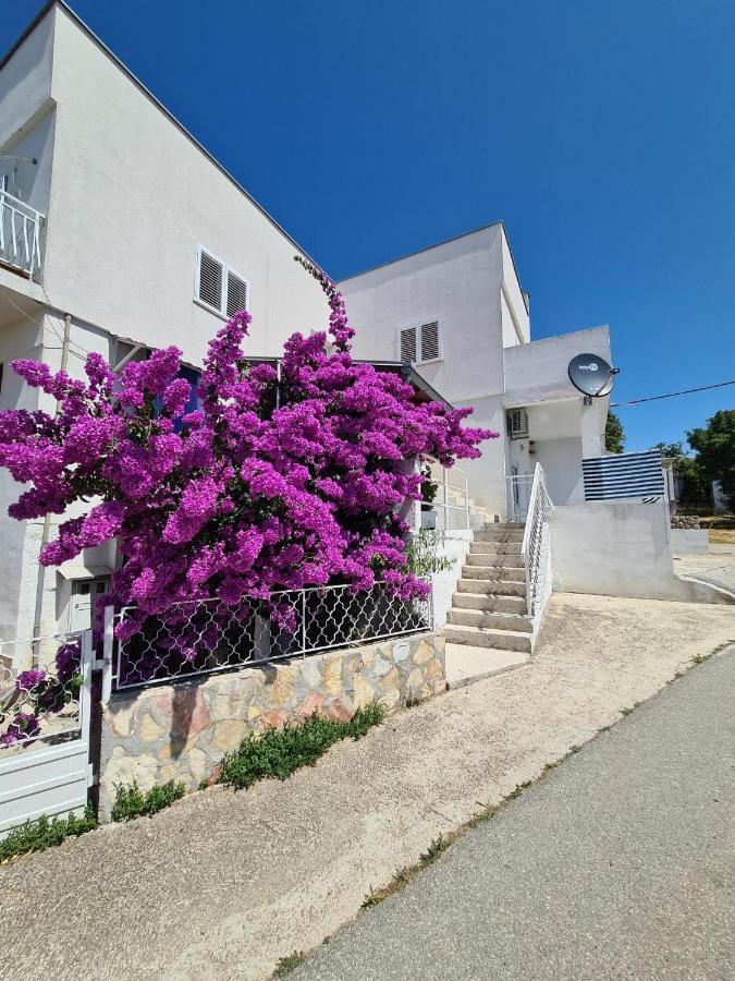 Maslenica-Bougainvillea Exterior photo